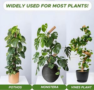 Lot de 2 poteaux en mousse pliables de 48 pouces, support pour plantes Monstera, treillis pour plantes grimpantes, piquets pour plantes d'intérieur et d'extérieur, fournitures de jardinage - Product Image 5