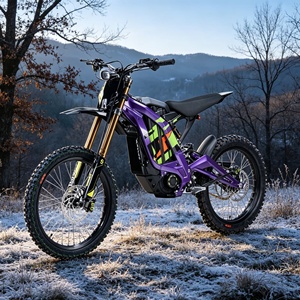 Model 10kw 2026 Light X <b>Brush</b> Motor Non-road & Two-wheel Track Versions Motorcycle 80km/h 1. Increased <b>Power</b> Improved Acc - Product Image 1