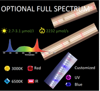 Lumière de croissance des plantes 720W Système de récolte de lampe solaire à LED à spectre complet