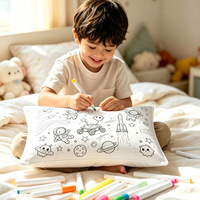 Taie d'oreiller à colorier soi-même, tissu blanc, marqueurs, thème spatial, design animal moderne, à personnaliser, cadeau parent-enfant, taie d'oreiller OEM