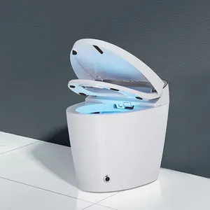Bagno telecomando all'ingrosso stile europeo modello Smart water con Pp Pre-filtro servizi igienici mobili