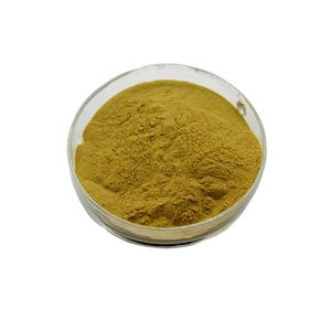 工場供給苦味オレンジエキス柑橘類Aurantiumエキスとジオスミン5%-90% - Product Image 1