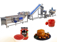 Op maat gemaakte jamproductiemachine, dat jamproductielijn, fruitjamproductielijn te koop
