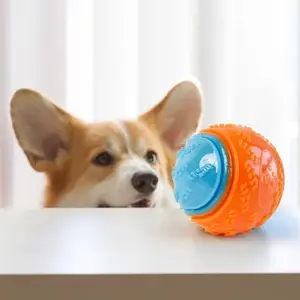 2024 New Product Dogs Interactive Toys Soft TPR Toys for Dog Pet Teeth Cleaning Bite Resistance Squeaky Dog Ball Toy