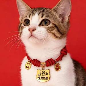 छोटे पशु सुरक्षा पहचान के लिए रेशम स्क्रीन प्रिंटिंग के साथ थोक अनुकूलन योग्य टिकाऊ धातु पालतू - Product Image 2