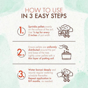 Hot Selling <strong>Slow</strong> <strong>Release</strong> Bonsai <strong>Food</strong> Long-Lasting Nutrition for Precious Bonsai Design for Garden Home or Desktop Decoration - Product Image 6