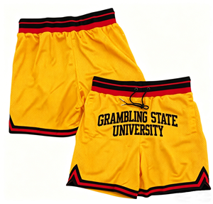 Groothandel Retro Basketbalshorts Hoge Kwaliteit Ademend Mesh Hip Hop Streetwear Shorts - Product Image 3