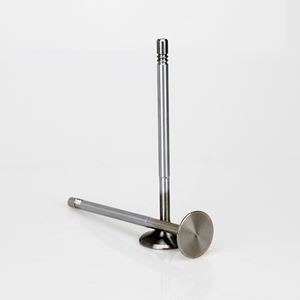 Katup asupan mesin pabrik Set katup knalpot untuk AUDI VW C6 2.0T 2.4 2.8 3.2 06E 109 601 E katup knalpot Inlet - Product Image 6