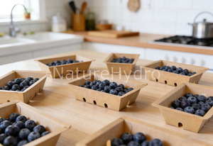 Modified Atmosphere Tray Heat Sealed Fresh Produce Paper Tray Les <strong>Barquettes</strong> En Carton Cardboard - Product Image 4