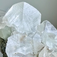 Échantillon de minéral brut, coquille de calcite avec fluorite, échantillon de minéral fluorescent aux UV pour la décoration