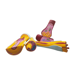 <span class=keywords><strong>Synapses</strong></span> neuronales et structure des fibres nerveuses ZM5044 agrandie - Product Image 2