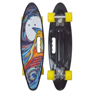 24inch Plastic Skateboard Handle ALU truck LED PU wheel for Adult Beginner cruiser professional fish tail street penny