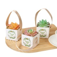 Boîtes en carton étanches en gros pour plantes succulentes, mini-plantes vertes et plantes en pot, décorées de rubans, en stock