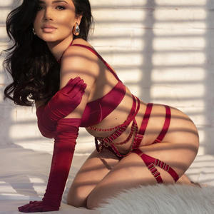 Lencería atrevida Mujer Rojo Ultra Sexy Íntimo Femenino Completo Lujo Atractivo Tirantes en el pecho 5 piezas Hot Sexy Adulto - Product Image 3