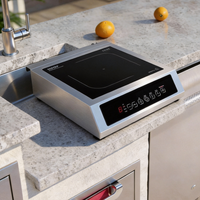 Table de cuisson électrique de comptoir plus sûre 3500W, cuisinière à induction à flamme intense, usage commercial
