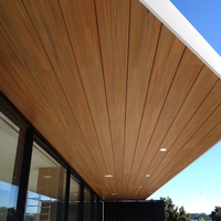 Système de plafond en aluminium imitation bois pour bardage extérieur de villa, décoration en bois pour l'extérieur