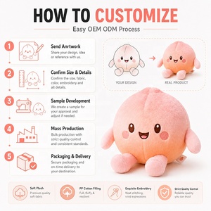 Juguete de Peluche de Durazno con Diseño Personalizado, Servicio OEM ODM, Convierte Dibujos en Productos Reales, Fabricante de <span class=keywords><strong>Animales</strong></span> de Peluche de Frutas Personalizados - Product Image 3