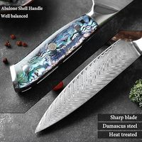 Couteau de chef en acier inoxydable Damas, ensemble de couteaux de cuisine 5 pièces, Santoku, couteau à fruits, couteau à désosser, couteau à trancher la viande, manche en coquille d'ormeau, 19 cm