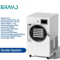 Kleine Mini Laboratorium Vacuüm Vriesdroogapparatuur Thuis Voedsel Vriesdroger
