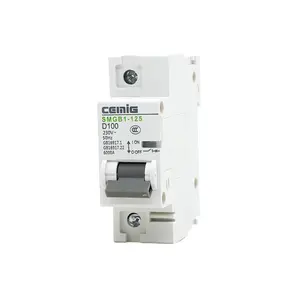 Cemig SMGB1-125 63A/80A/100A/125A 2P MCB với CE phê duyệt ngắt mạch cung cấp tốt nhất