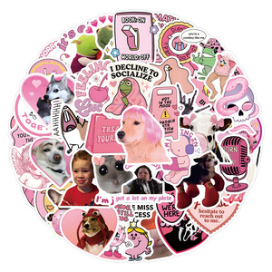 50 Pegatinas Decorativas Divertidas y Elegantes con Diseño de Memes para Niñas, para Decorar Libros y Botellas, Lindas Pegatinas para Regalos de Fiesta - Product Image 2