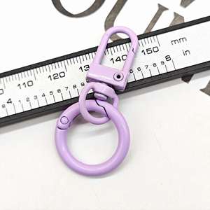 2025 Metal <b>Keychain</b> - Colorful Spring Hook Keyring, Durable Alloy Lanyard with Ornamental Buckle - Product Image 5