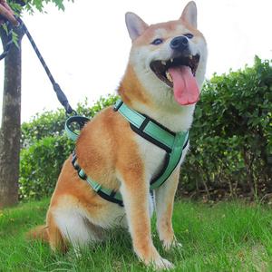 Arnés Reflectante para Perro, Transpirable, de Nailon, Collar de Pecho para Mascotas, Arnés de Doble Correa, Arnés con Correa para Perros - Product Image 6