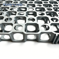 Grille de pavage perméable écologique pour drainage des eaux pluviales et aménagement paysager