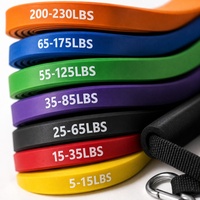 Juego de 7 Bandas de Resistencia con Anclaje para Puerta y Asas, Bandas de Ejercicio de Látex para Gimnasio en Casa, Entrenamiento de Fuerza, 5-230 LBS