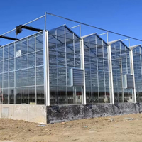 Serre agricole en verre commercial avec système hydroponique pour les légumes, projet clé en main