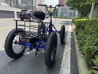 Vélo électrique 4 roues populaire 2025, moteur 1000W, batterie 48V 24Ah, vélo cargo électrique tout-terrain avec suspension