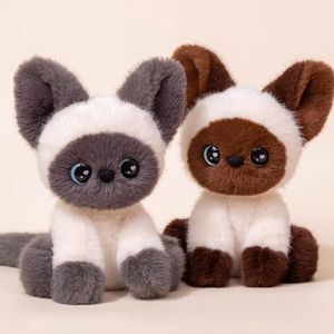 Boneka Kucing Plush Ramah Lingkungan Kartun Super Lembut Tinggi 20cm Dapat Disesuaikan Teman Dekoratif Gantungan Kunci Penggunaan di Meja - Product Image 4