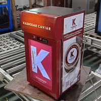 Réfrigérateur de présentation de boissons de marque personnalisée 25L