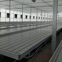 Système de culture hydroponique Table de culture d'inondation 4 * 8FT banc roulant personnalisé à hauteur réglable Table de plantation