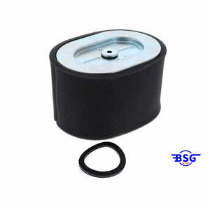 Filtro de Aire Original Briggs & Stratton 799818, Pieza de Repuesto - Product Image 5