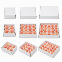 Witte perzikverpakking met beschermende kussentjes en ventilatiegaten, aangepaste logo stenen fruitdoos voor groothandel in boomgaarden