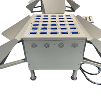 Solution de tri automatique en acier inoxydable et acier au carbone, nouvel équipement de tri et de transport de colis pour centre de distribution express