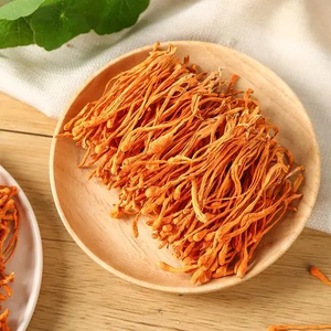 Cordyceps Militaris Selvatico Biologico di Alta Qualità Marca SHM, Essiccato Naturalmente all'Aria, Doppio Uso Alimento e Medicina - Product Image 2