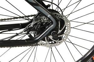 Bicicleta eléctrica de montaña India, económica, el precio más bajo, 36V, 250W, bicicleta de montaña India - Product Image 2