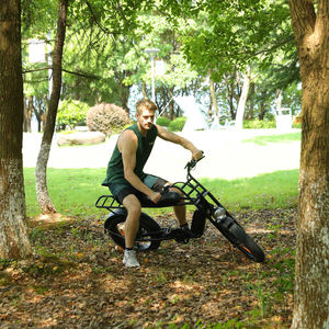 Motocicleta ZODIN de Largo Alcance, Motocicleta Eléctrica Retro con Llantas Gruesas, Cuadro <span class=keywords><strong>MTB</strong></span>, Motocicleta Rápida para <span class=keywords><strong>Mujer</strong></span>, Bicicleta Eléctrica de Montaña y Carretera - Product Image 6