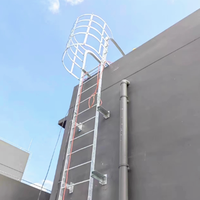 Escalera de Escape de Emergencia para Techos de Almacenes Industriales, Escalera de Jaula de Hierro Colgante de Pared para Edificios