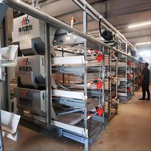 Nuova Gabbia Intelligente Huabang Tipo H per Galline Ovaiole, a 3 o 4 Livelli, per 160 Polli, Gabbia Automatica a Batteria Zincata a Caldo - Product Image 1