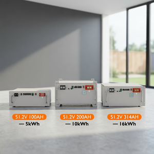 Batería de Almacenamiento de Energía OEM de la UE de 15 kWh, 48 V, 51.2 V, 200 Ah, 314 Ah, Batería Lifepo4 de 48 y 51.2 Voltios, 15 kWh, 16 kWh para Sistema Solar - Product Image 1
