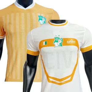 2023 2024 Voetbalkleding Spelers/Fans Voetbalshirts Voetbalkleding Afrika Cup Team Ivoor Kust Cote D'ivoire Voetbal/Voetbalshirt