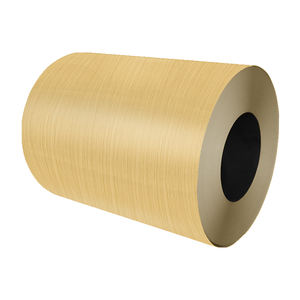 Ppl Gi Zinc بألوان مدلفنة على البارد/PPGI PPGL للمنزل الجاهز - Product Image 6