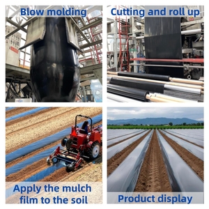 Película Agrícola de Polietileno Plateada y Negra 2026 de Gran Venta, Manta de Plástico <span class=keywords><strong>para</strong></span> Cobertura de Suelos en Invernaderos y Control de Malezas - Product Image 2