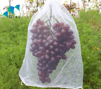 Sacs de protection pour raisins en HDPE anti-insectes avec cordon de serrage pour protéger les graines de plantes, les fruits, les fleurs, les légumes 25*35cm