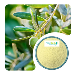 FocusHerb Usine En Gros Extrait De Feuille D'olivier Poudre D'oleuropéine 10%-80% HPLC Oleuropéine - Product Image 1