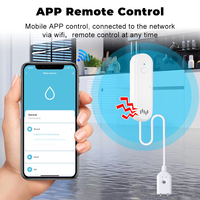 Détecteur de fuite d'eau intelligent Tuya ZigBee avec rallonge et alarme sonore de 80 dB, commande vocale pour la maison et l'hôtel