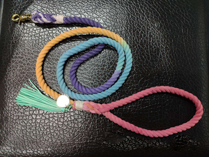 2021 Grosir Tali Pengikat Anjing Rumbai Hewan Peliharaan Luar Ruangan Tali Katun Banyak Warna Tali Katun Terpilin Tali Anjing Mode dengan Rumbai - Product Image 5